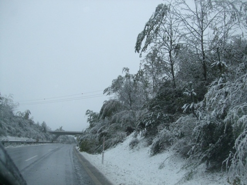Nevada camino de Austria
