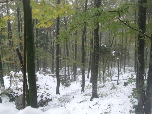 Camino de subida hacia la cascada Savica