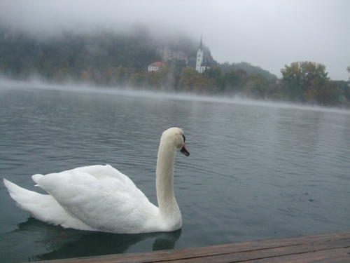 El lago Bled
